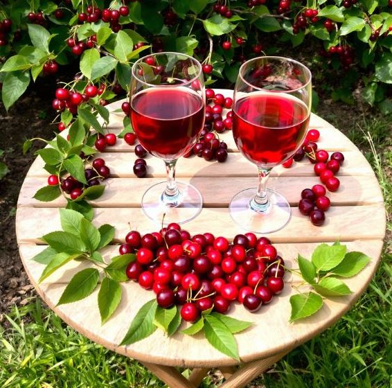 sklenice cherry v sadu min